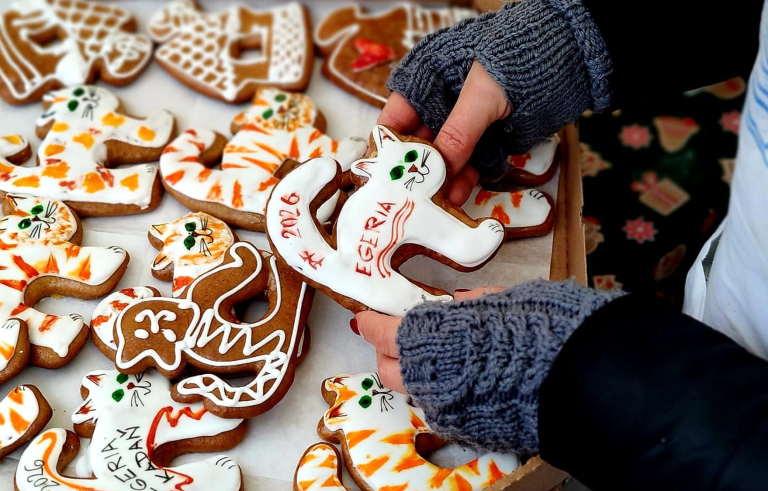 WhatsApp Image 2026-02-26 at 17.42.30